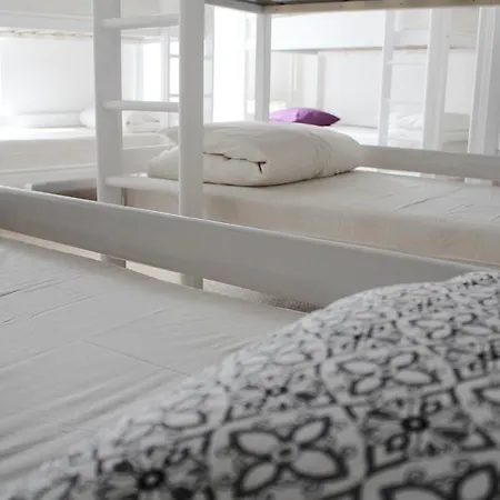 بيت شباب Tree House